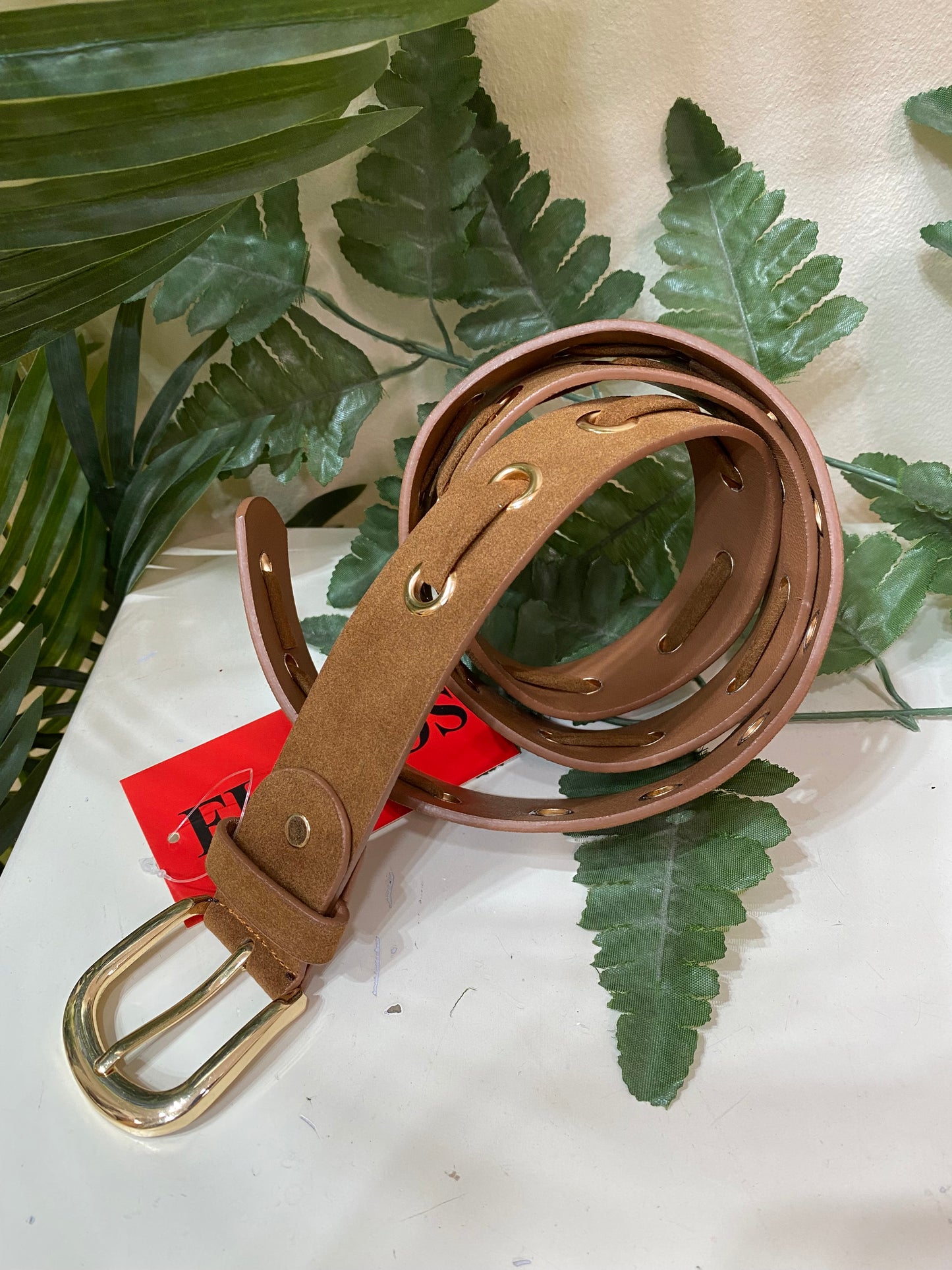 Cinturón antelina