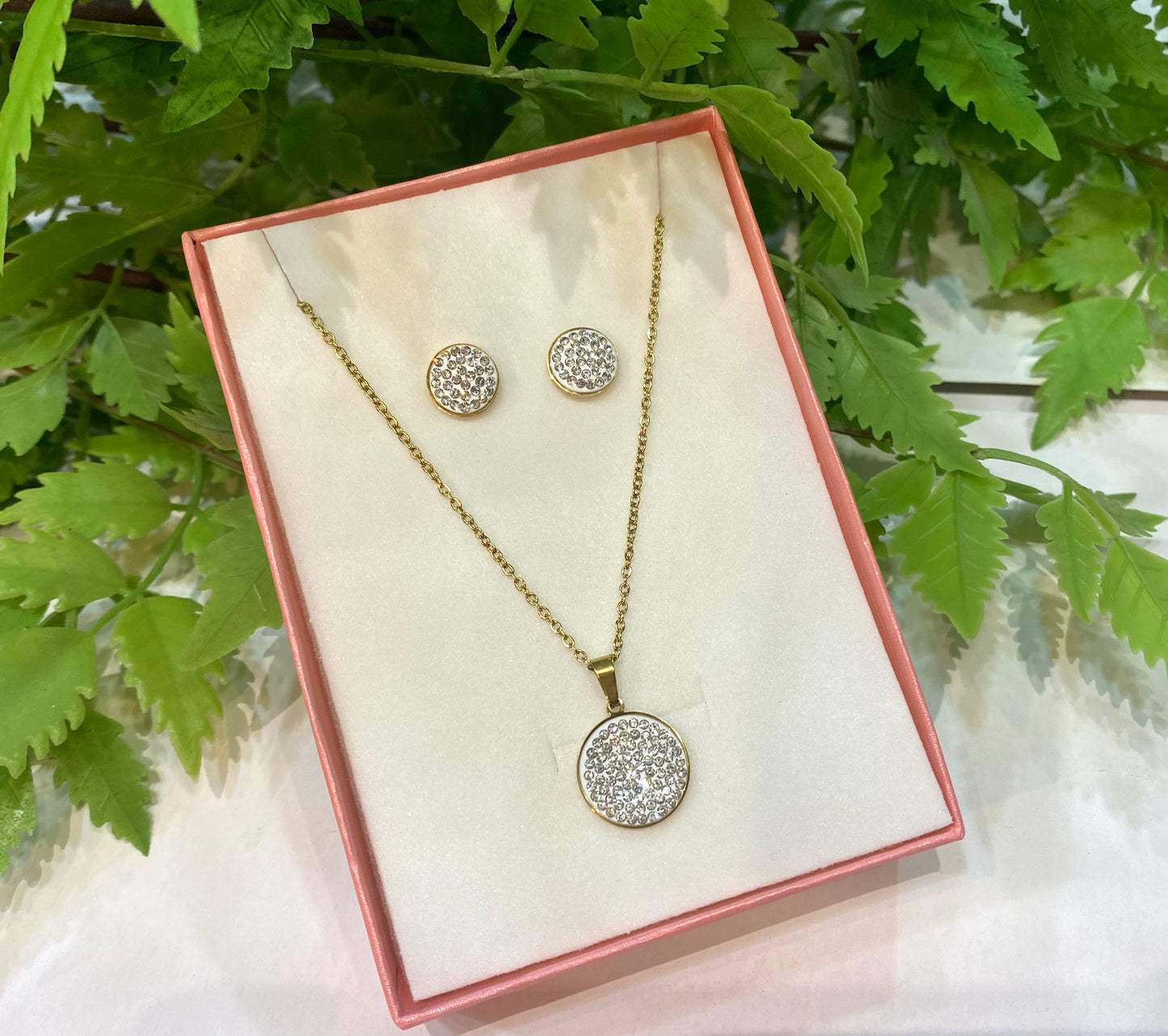 Conjunto acero moneda brillo